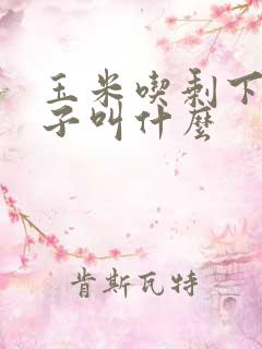 玉米吃剩下的棒子叫什么
