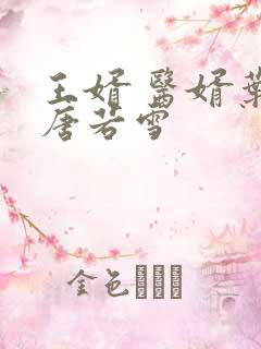 王婿 医婿叶凡唐若雪
