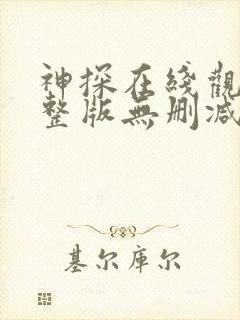 神探在线观看完整版无删减