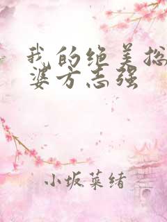 我的绝美总裁老婆方志强