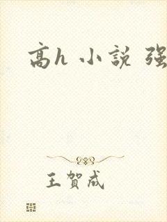 高h 小说 强
