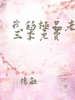 我的极品老婆第三季免费