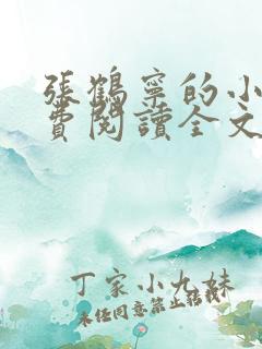 张鹤宁的小说免费阅读全文