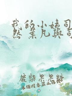 我的小姨司空嫣然 叶凡与司空嫣然章节