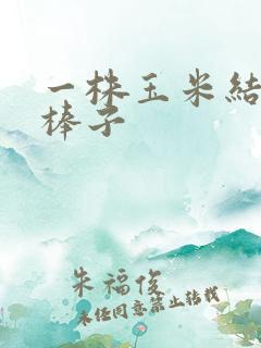 一株玉米结几个棒子
