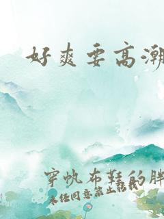 好爽要高潮了文