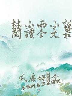 林小雨小说免费阅读全文最新章节