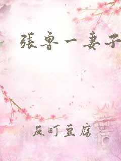 张鲁一妻子是谁