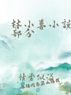 林小喜小说第二部分