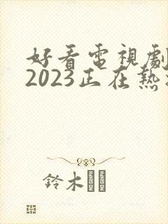 好看电视剧推荐2023正在热播的剧