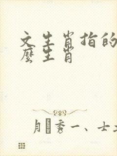 文生肖指的是什么生肖