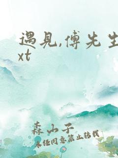 遇见,傅先生txt
