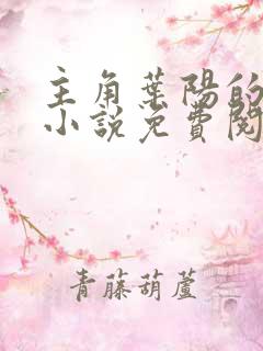 主角叶阳的官场小说免费阅读