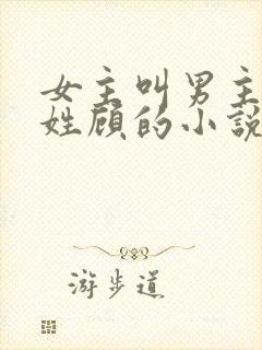女主叫男主叔叔姓顾的小说