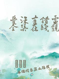 爱没有错电视剧全集在线观看免费