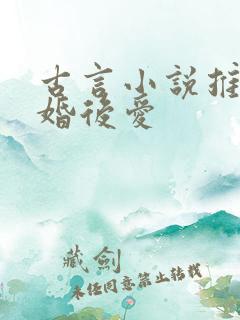 古言小说推荐先婚后爱