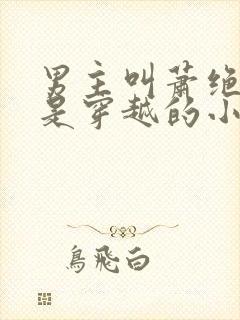 男主叫萧绝女主是穿越的小说