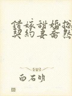 错嫁甜婚总裁的契约妻乔然