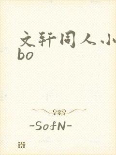 文轩同人小说abo