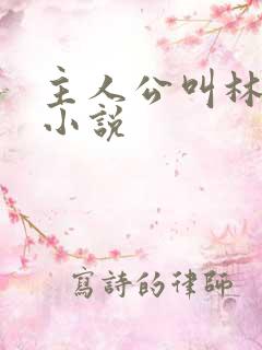 主人公叫林初的小说