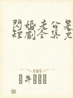 闪婚老公是总裁短剧全集免费播放