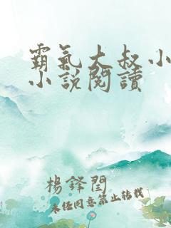 霸气大叔小辣妻小说阅读