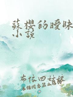 苏樱的暧昧情事小说