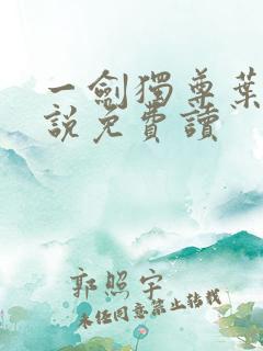 一剑独尊叶玄小说免费读
