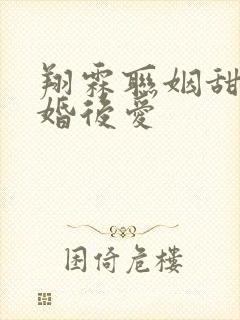 翔霖联姻甜文先婚后爱