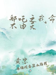 哪吒之我命由我不由天