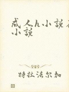 成人h小说在线小说