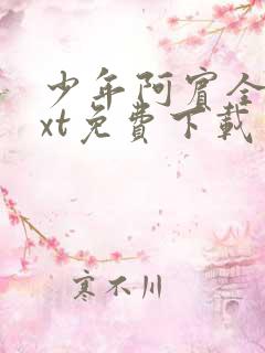 少年阿宾全本txt免费下载