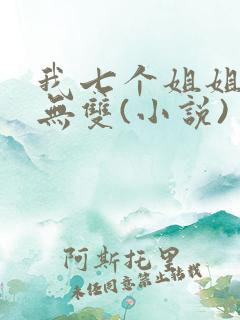 我七个姐姐绝世无双(小说)