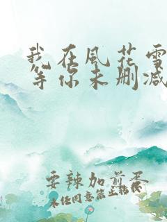 我在风花雪月里等你未删减
