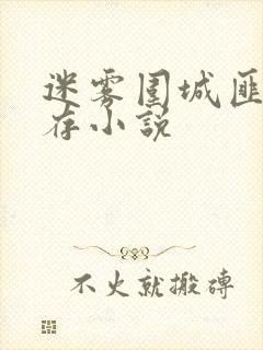 迷雾围城匪我思存小说
