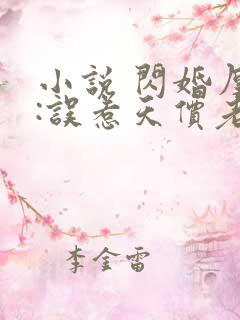 小说 闪婚厚爱:误惹天价老公