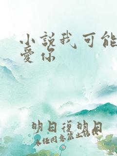 小说我可能不会爱你