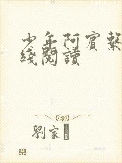 少年阿宾系列在线阅读
