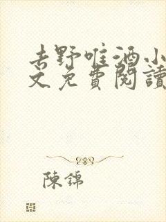 去野唯酒小说全文免费阅读