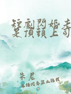 短剧闪婚老公竟是顶头上司免费