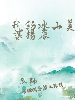 我的冰山美女老婆杨辰