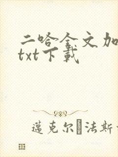 二哈全文加番外txt下载