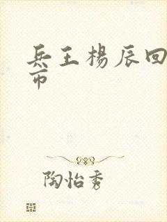 兵王杨辰回归都市