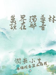 万界独尊林枫小说在哪看