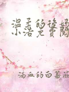 温柔的后妈陆雅小浩免费阅读