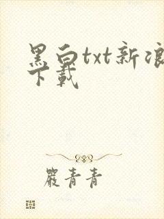 黑白txt新浪下载