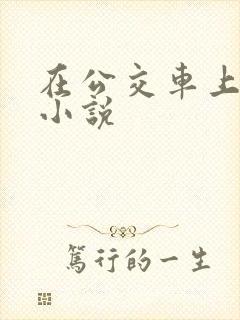 在公交车上被强小说