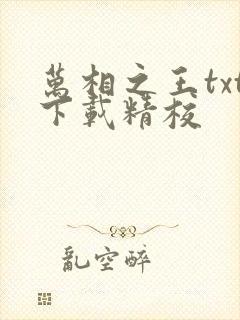 万相之王txt下载精校