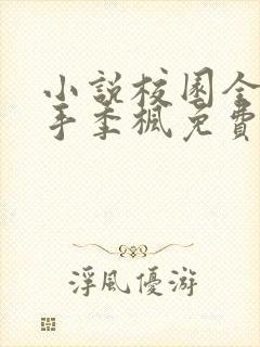 小说校园全能高手季枫免费完本