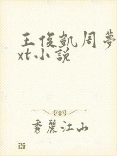 王俊凯周梦莹txt小说